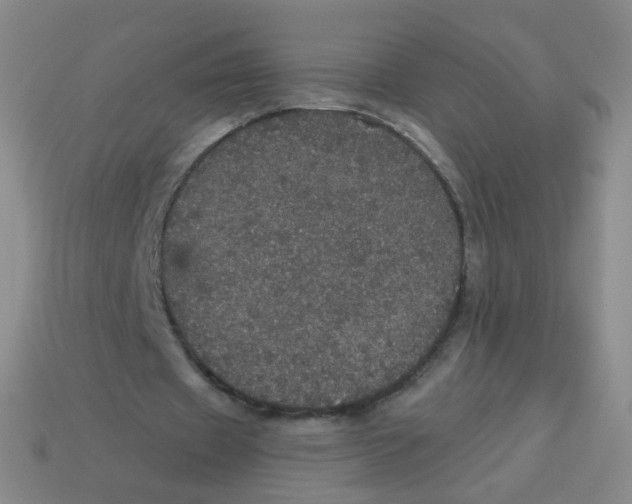 X0000113550433200910161437