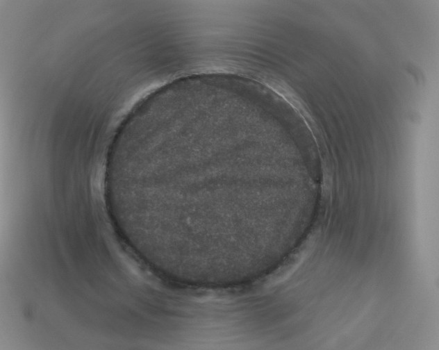 X0000113550434200910161437