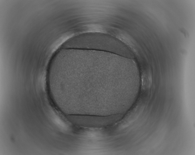 X0000113550436200910161437