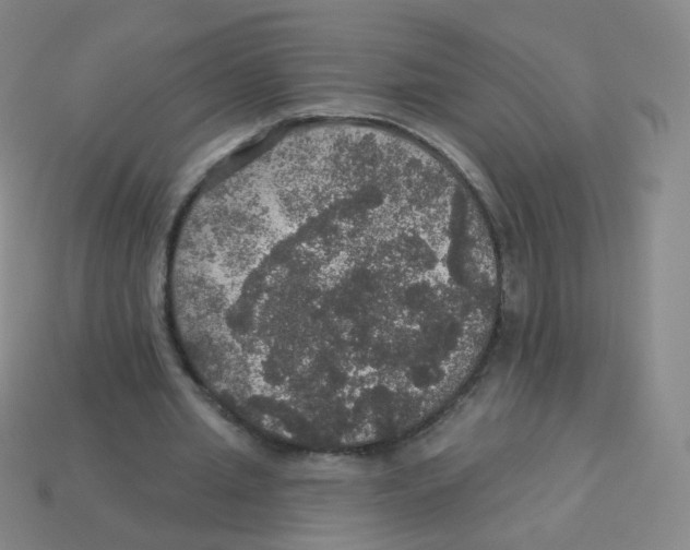 X0000113550437200910161437
