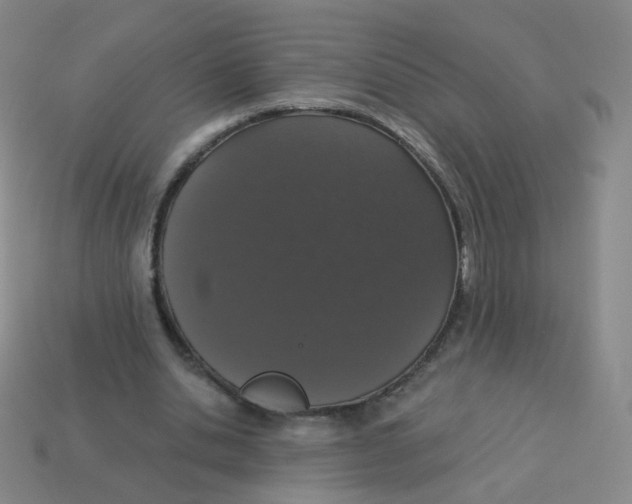 X0000113550438200910161437