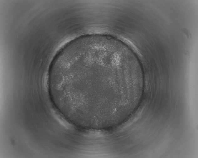 X0000113550439200910161437