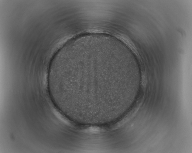 X0000113550441200910161437