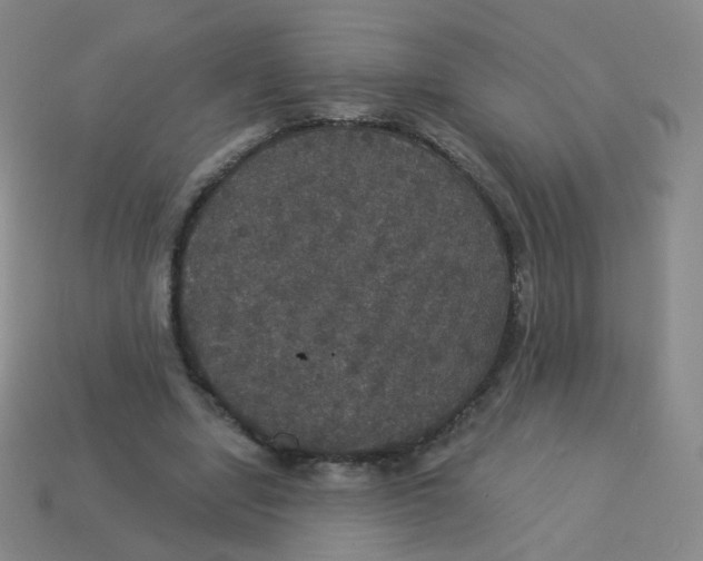 X0000113550442200910161437