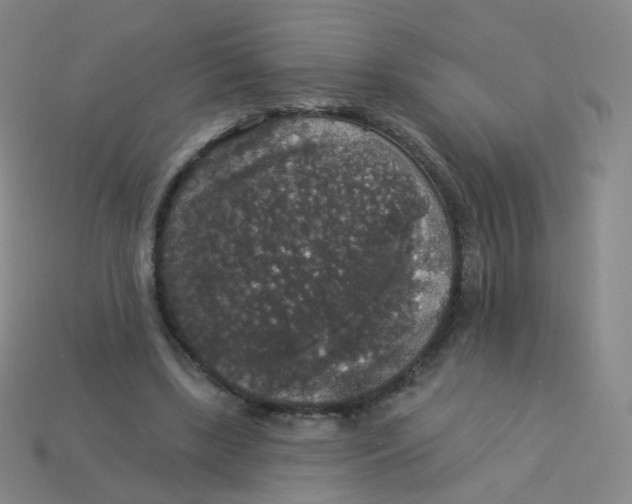 X0000113550443200910161437