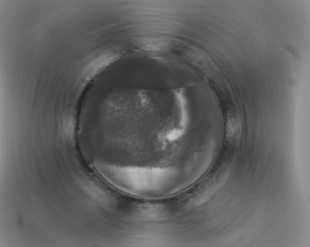X0000113550444200910161437