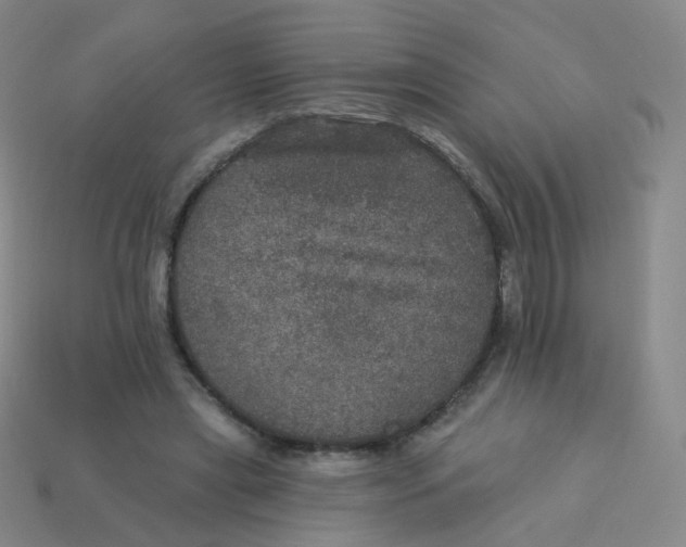 X0000113550445200910161437