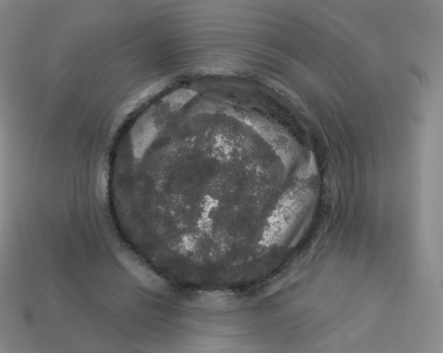 X0000113550446200910161437