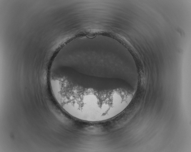 X0000113550447200910161437