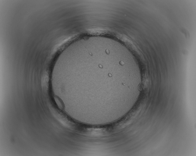 X0000113550448200910161437