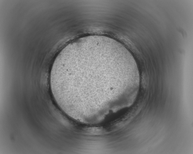 X0000113550449200910161437