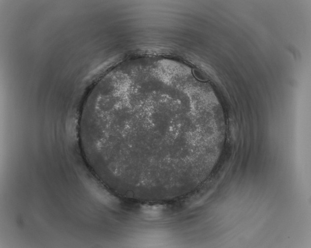 X0000113550450200910161437