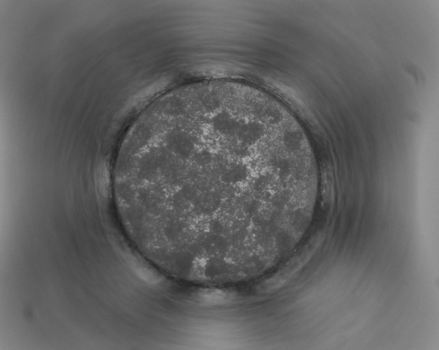 X0000113550453200910161437