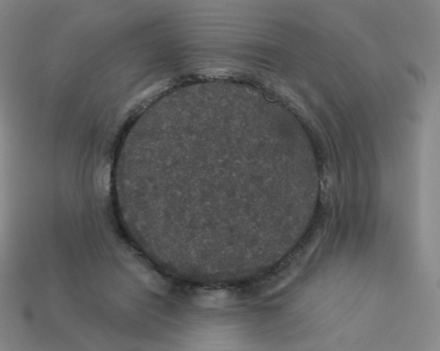 X0000113550454200910161437