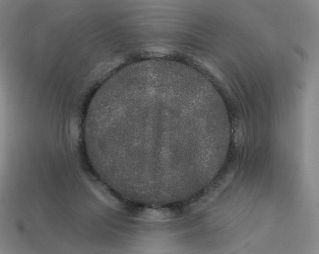 X0000113550455200910161437