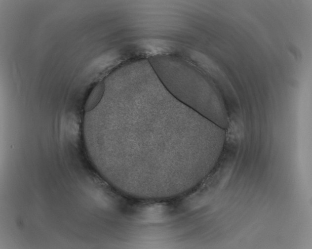 X0000113550456200910161438