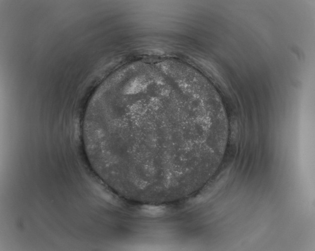 X0000113550457200910161438