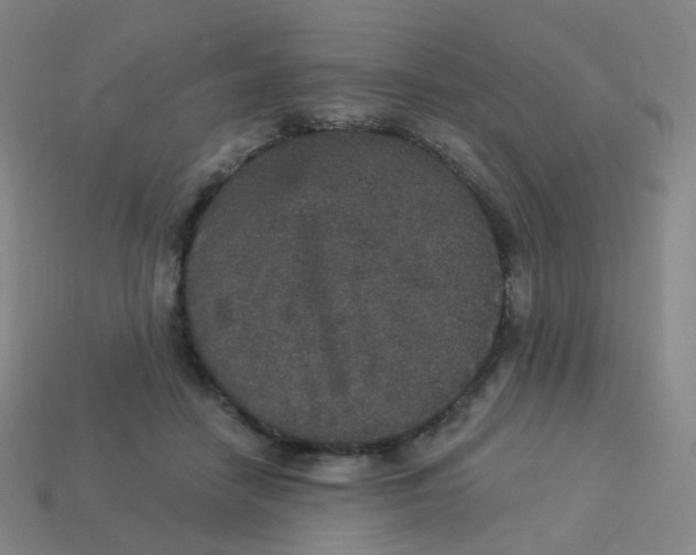 X0000113550458200910161438