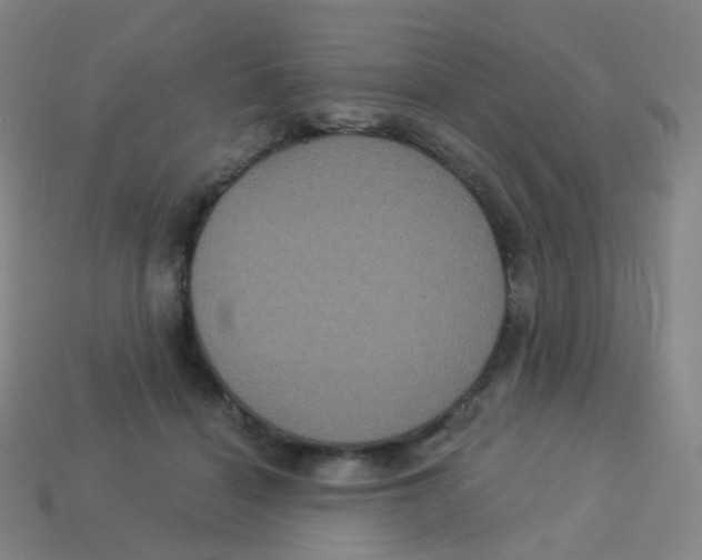 X0000113550460200910161438