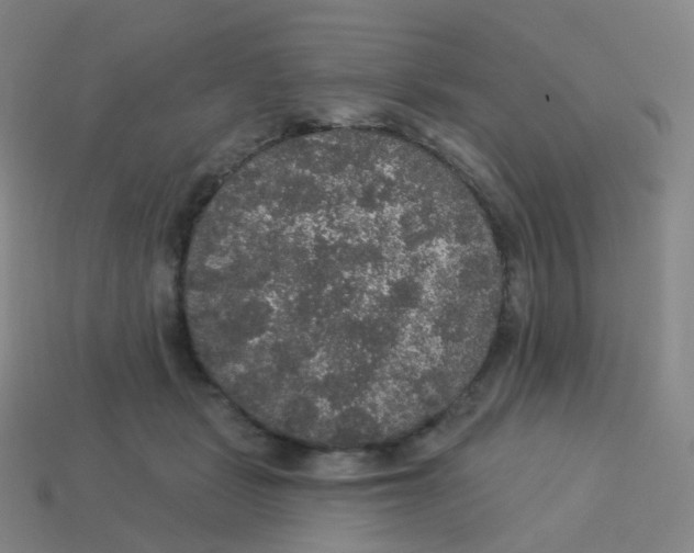 X0000113550461200910161438