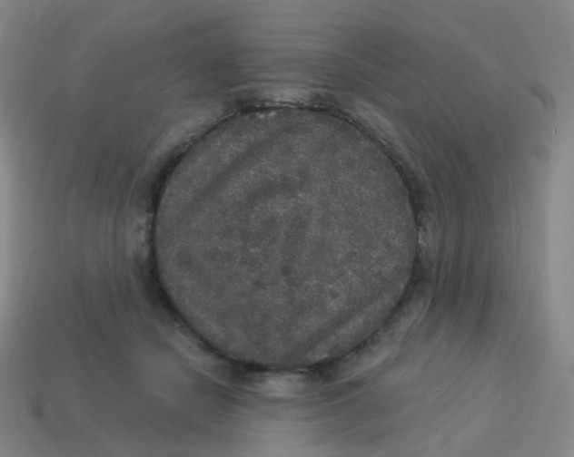 X0000113550462200910161438