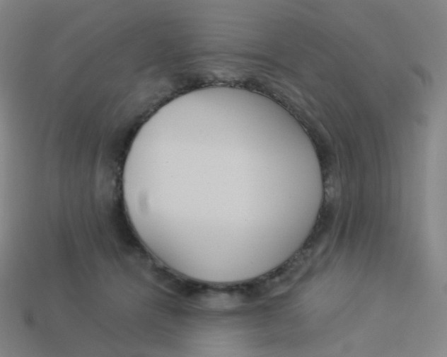 X0000113550464200910161438