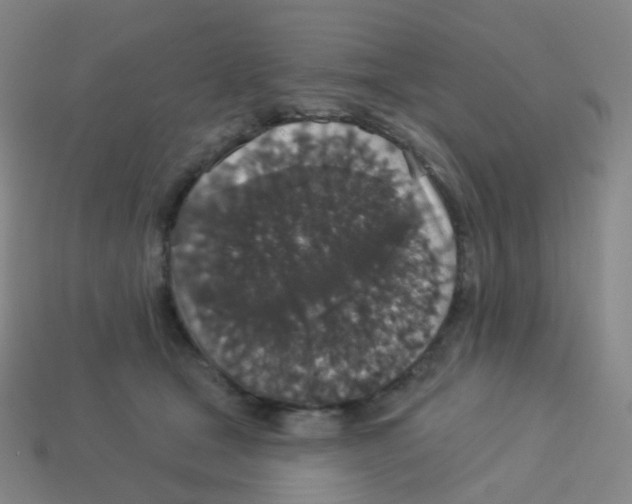 X0000113550465200910161438