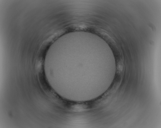 X0000113550468200910161438