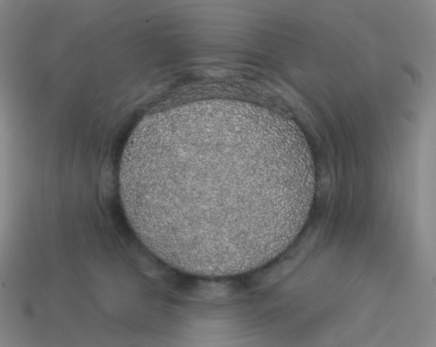 X0000113550469200910161438