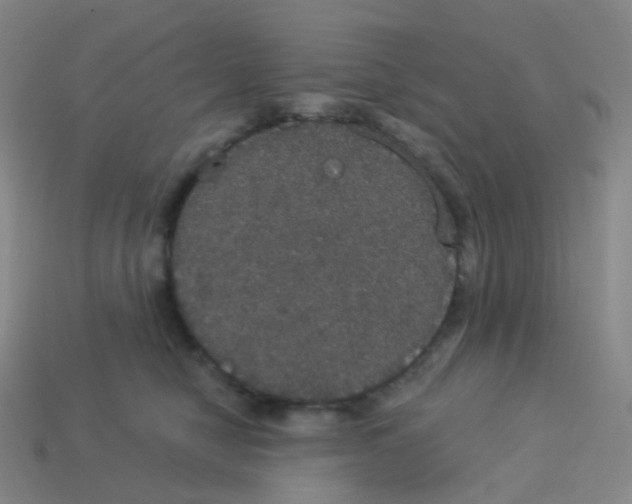 X0000113550470200910161438