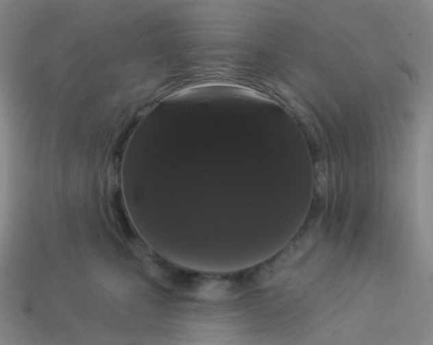 X0000113550471200910161438