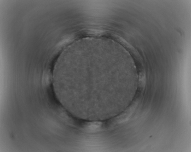X0000113550474200910161438