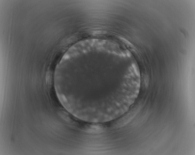 X0000113550475200910161438