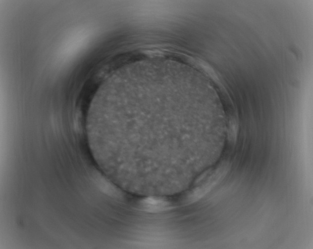 X0000113550477200910161438