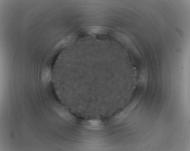 X0000113550478200910161438