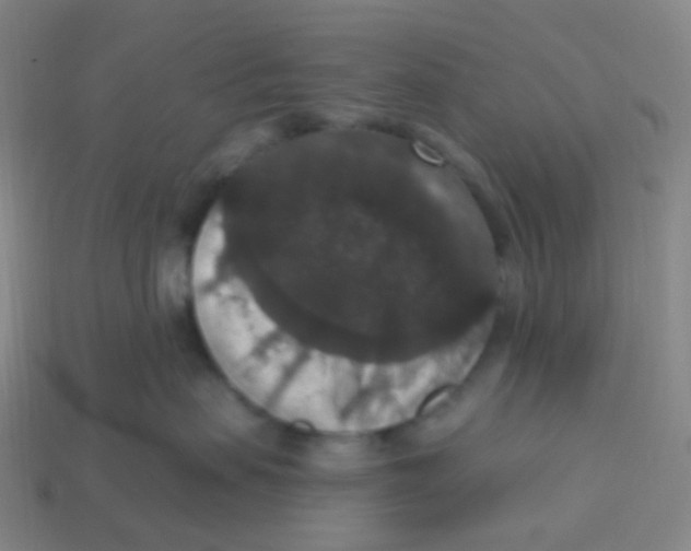 X0000113550479200910161438