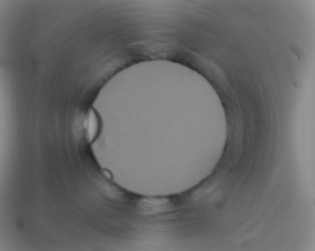 X0000113550480200910161438