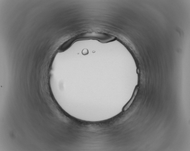 X0000113550481200910161437