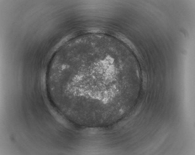X0000113550482200910161437