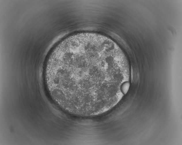X0000113550483200910161437