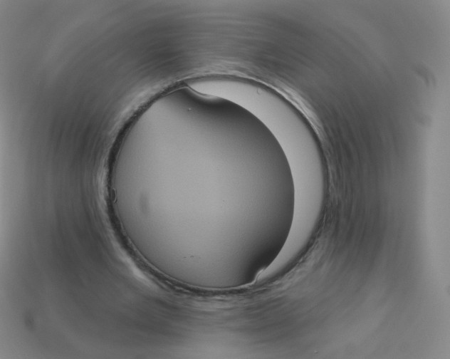X0000113550485200910161437