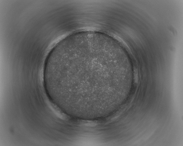 X0000113550486200910161437