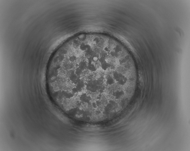 X0000113550487200910161437