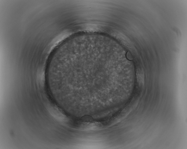 X0000113550488200910161437
