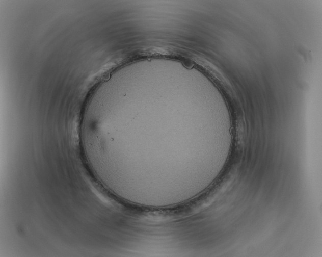 X0000113550489200910161437