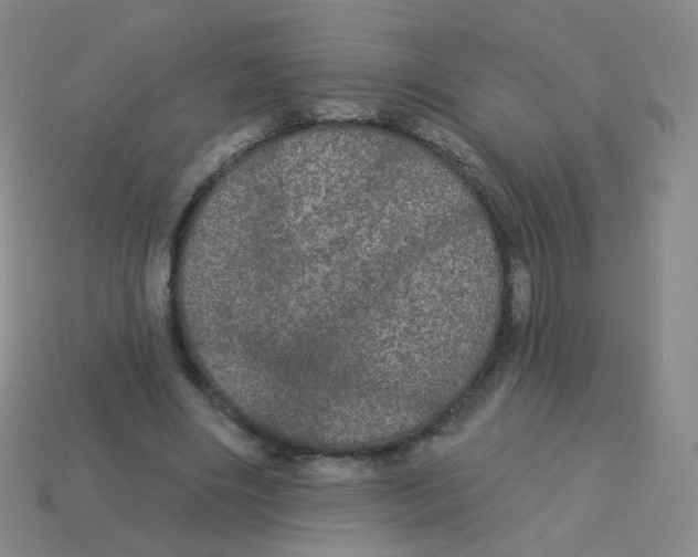 X0000113550490200910161437