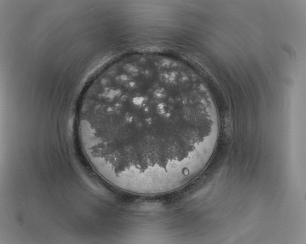 X0000113550491200910161437