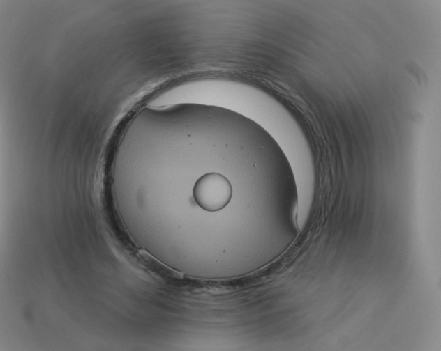 X0000113550492200910161437