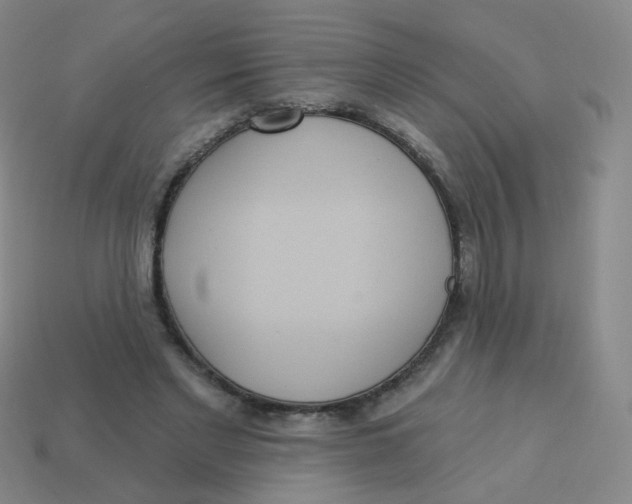 X0000113550493200910161437