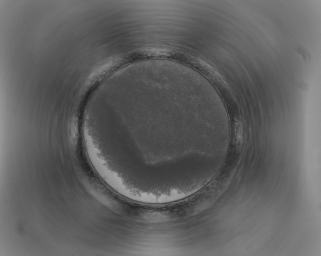 X0000113550494200910161437